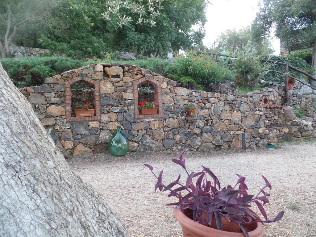 Gasthaus Agrestis Domus San Giovanni a Piro Exterior foto